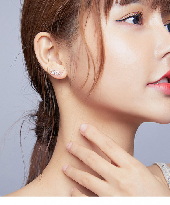 Set argint cu spice [3]