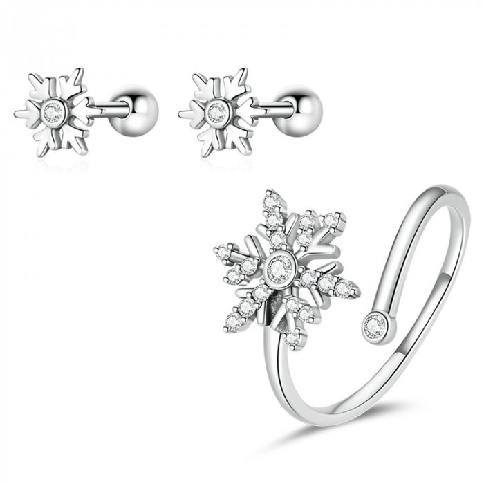 Set argint fulgi de nea [3]