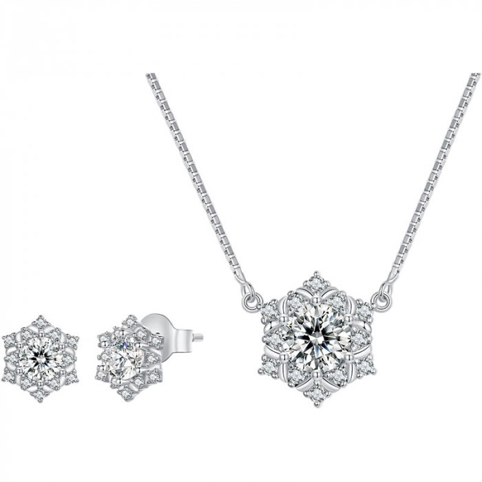 Set argint fulgi de nea [1]