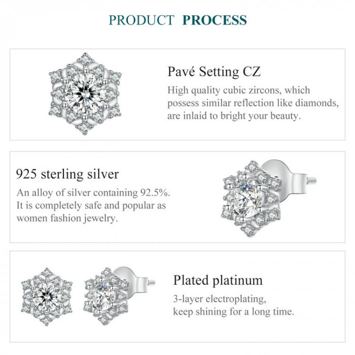 Set argint fulgi de nea [12]