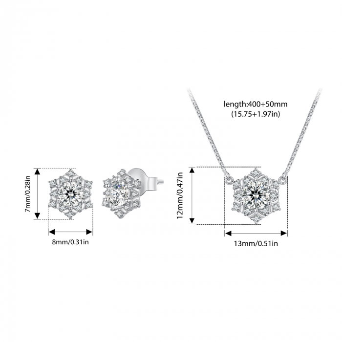 Set argint fulgi de nea [5]