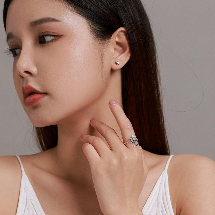 Set argint fulgi de nea [2]