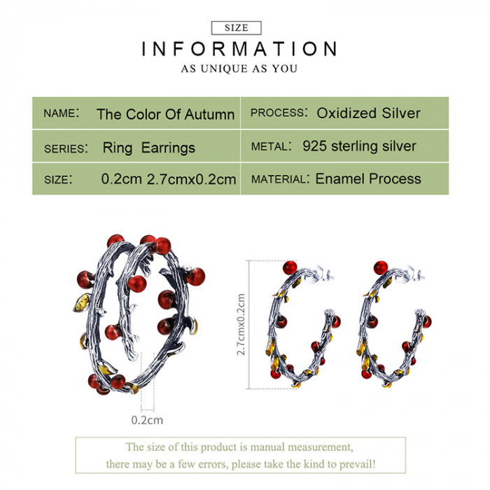 Set argint ramurele [12]