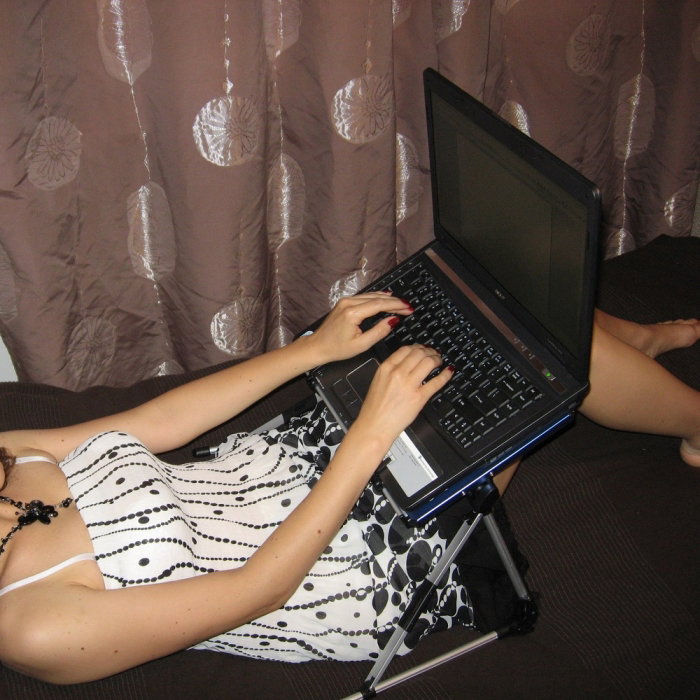 Suport pentru laptop si lectura Roz [5]