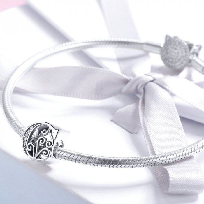 Talisman argint litera C [5]