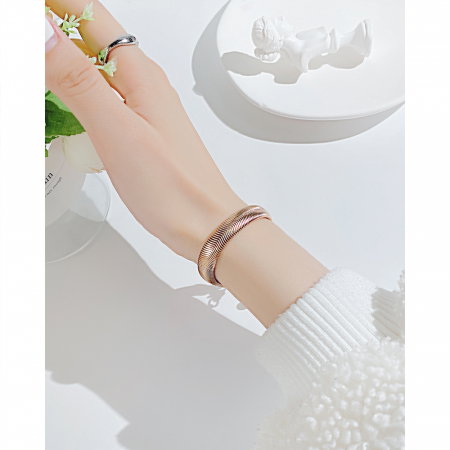 Bratara inox sarpe [1]