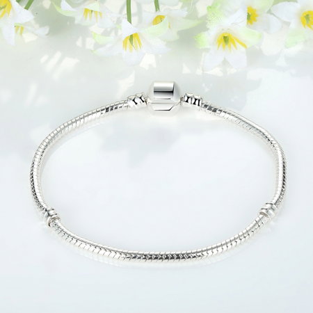 Bratara placata cu argint pentru talismane  BST0001 [2]