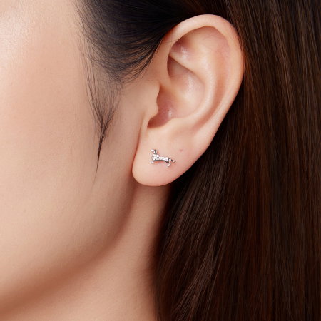 Cercei argint catei Teckel [8]