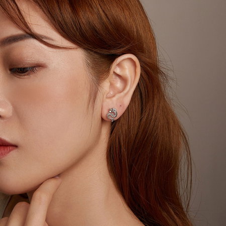 Cercei argint cu dragoni [8]