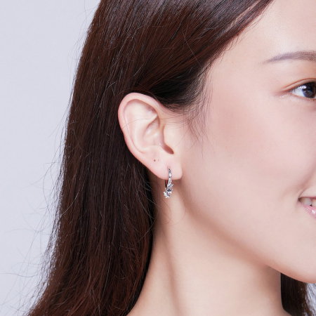 Cercei argint cu pentagrame [5]