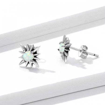 Cercei argint cu stelute de opal [2]