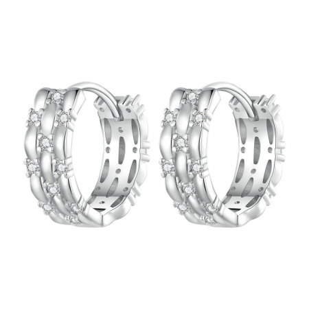 Cercei argint rotunzi cu zirconii [0]