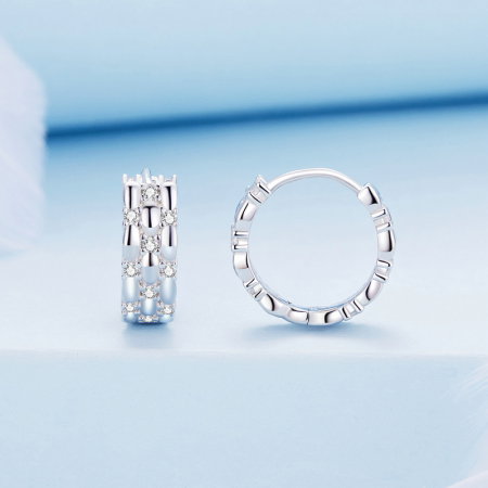 Cercei argint rotunzi cu zirconii [4]