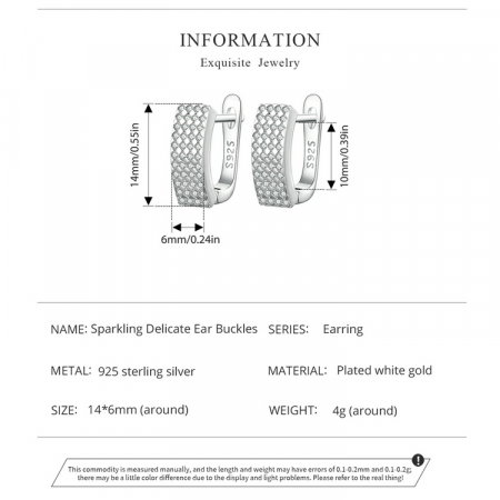 Cercei argint Exquisite [10]