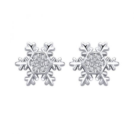 Cercei argint fulgi de nea