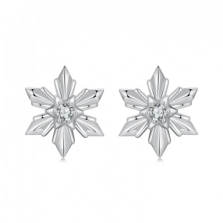 Cercei argint fulgi de nea