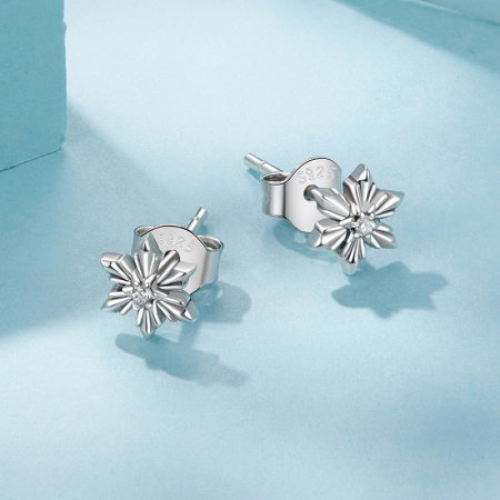 Cercei argint fulgi de nea [4]