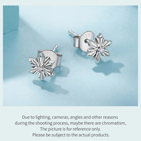 Cercei argint fulgi de nea [13]