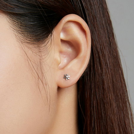 Cercei argint fulgi de nea cu zirconii [1]