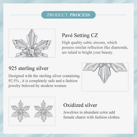 Cercei argint fulgi de nea [10]