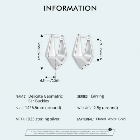 Cercei argint geometrici [8]