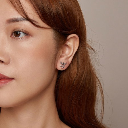 Cercei argint pasarea Phoenix [9]