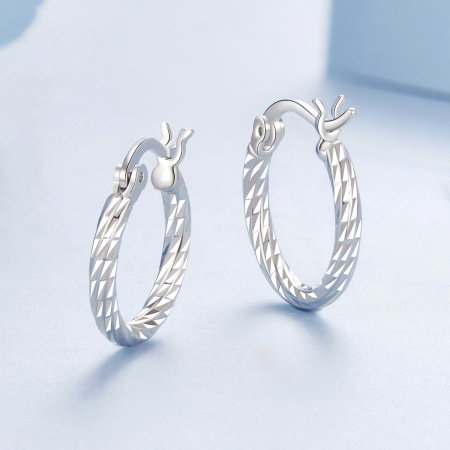 Cercei argint rasuciti [5]