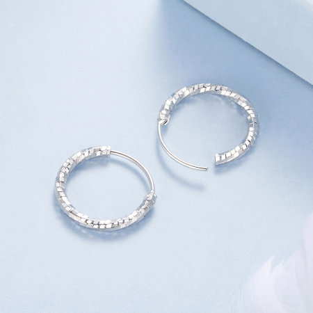 Cercei argint rasuciti Disco [6]