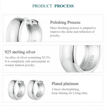 Cercei argint rotunzi [7]