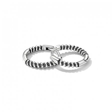 Cercei argint rotunzi [6]