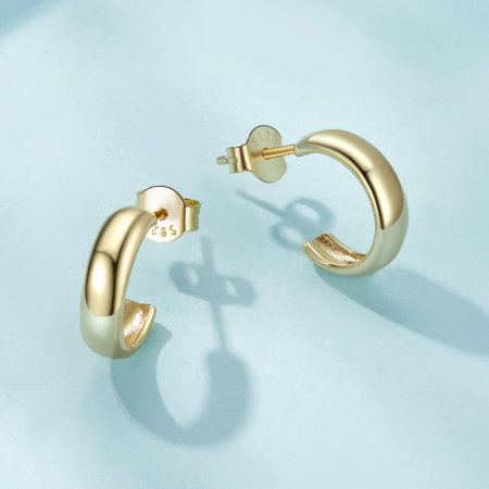 Cercei argint rotunzi [2]