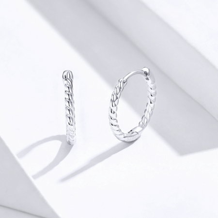 Cercei argint rotunzi [5]