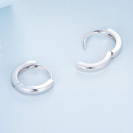 Cercei argint rotunzi [2]