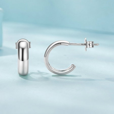 Cercei argint rotunzi [5]