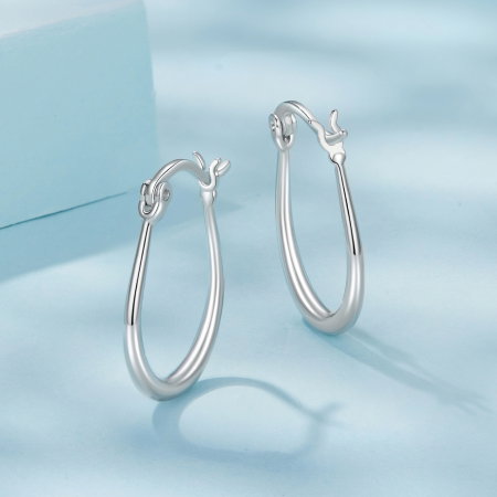 Cercei argint rotunzi [4]