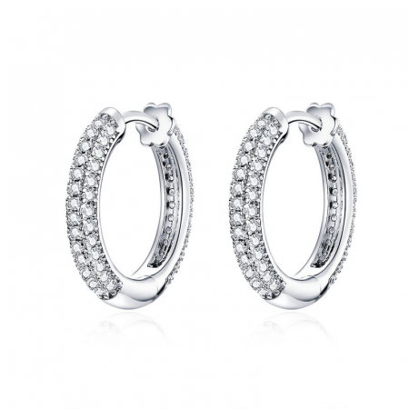 Cercei argint rotunzi