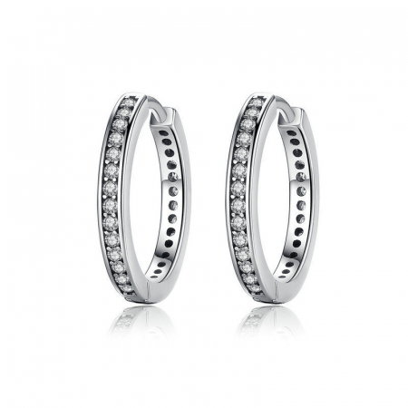 Cercei argint rotunzi cu zirconii