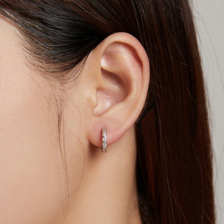 Cercei argint rotunzi cu zirconii [2]