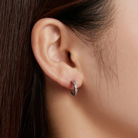 Cercei argint rotunzi cu zirconii [1]