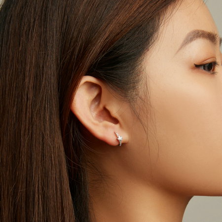 Cercei argint rotunzi cu stelute si zirconii [1]