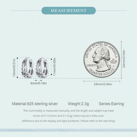 Cercei argint rotunzi iris [8]