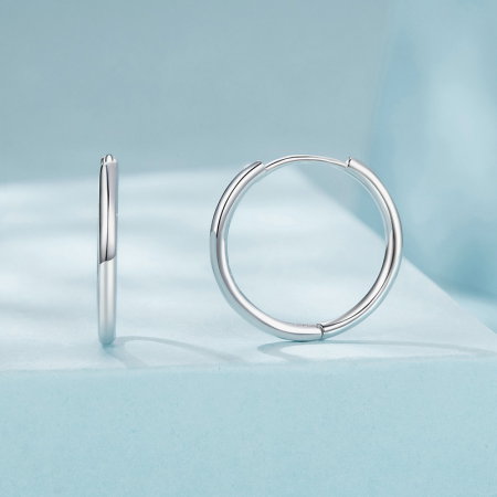 Cercei argint rotunzi simpli [2]