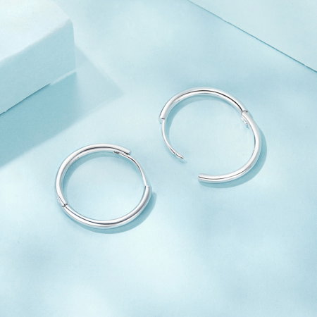 Cercei argint rotunzi simpli [7]