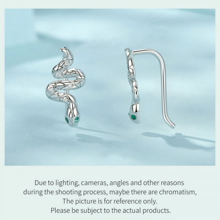 Cercei argint sarpe cu carlig [15]