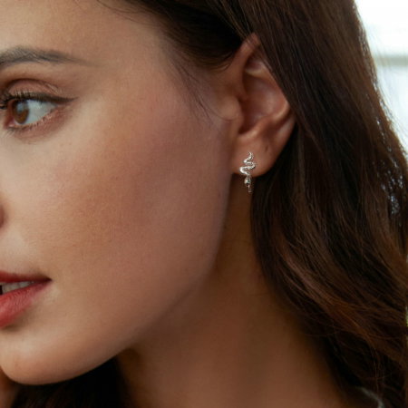 Cercei argint sarpe cu carlig [6]