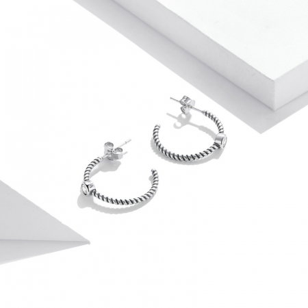 Cercei argint simpli [6]