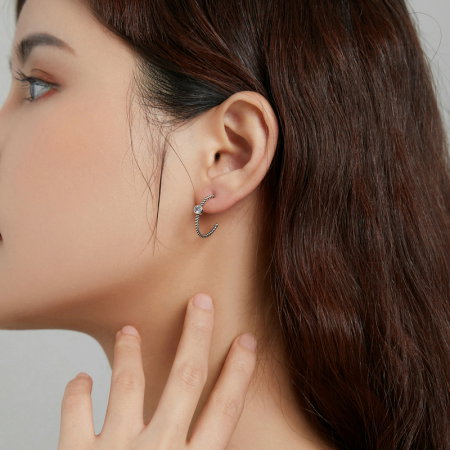 Cercei argint simpli [1]