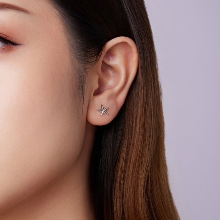 Cercei argint stea cu surub [10]