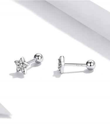 Cercei argint stelute cu zirconii [9]