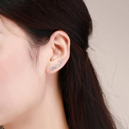 Cercei argint labute [1]